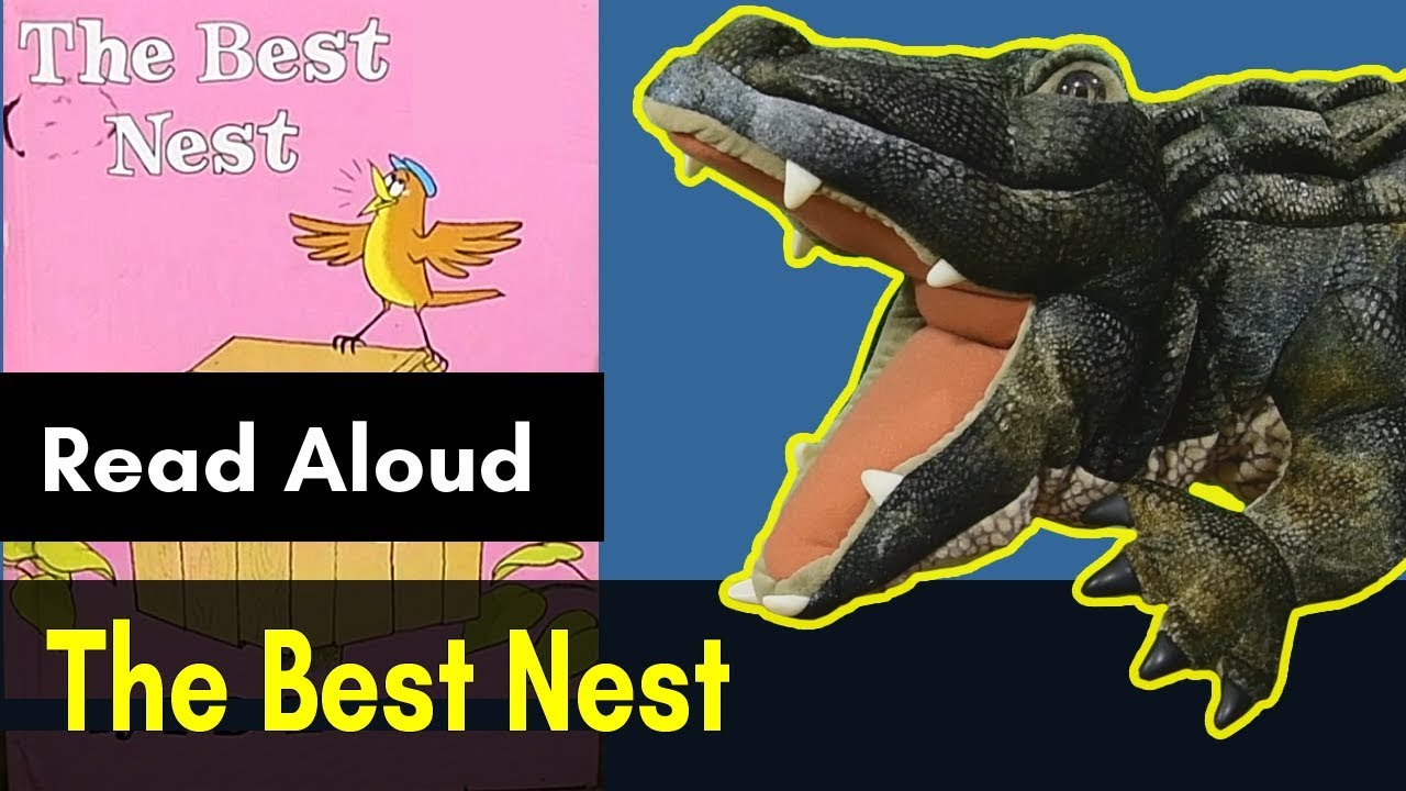 the-best-nest-by-pd-eastman-read-aloud-for-kids-by-amos-alligator
