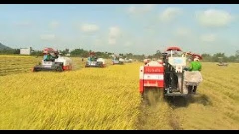 Cơ giới hóa đồng bộ hướng đến nền nông nghiệp bền vững