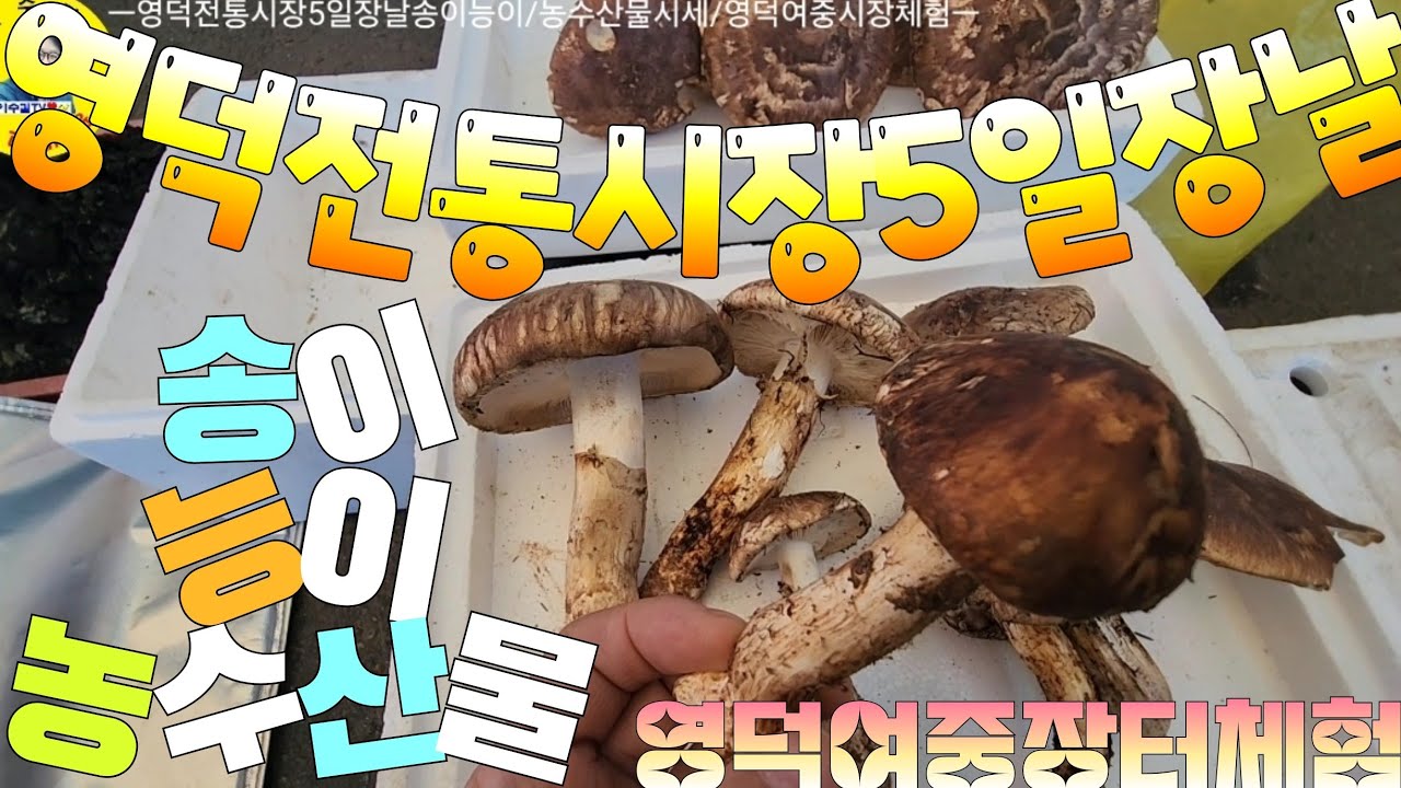 伝統市場 영덕전통시장 5일장날 송이/능이/각종버섯/농수산물시세, 영덕여중장터체험 견문록♡삶2288/Yeongdeok traditional market, korea