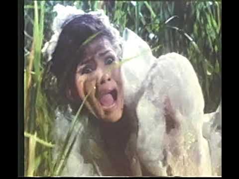 MUSNAHKAN ILMU SANTET (1989) FULL MOVIE - JOICE ERNA, RUDDY SALAM, DEVI IVONE