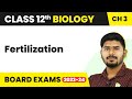 Fertilization - Human Reproduction | Class 12 Biology