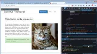 Tests funcionales con Selenium