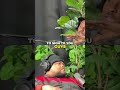 Kokane Breaks Down Songwriting & Stories from Back in the Day 🔥📖