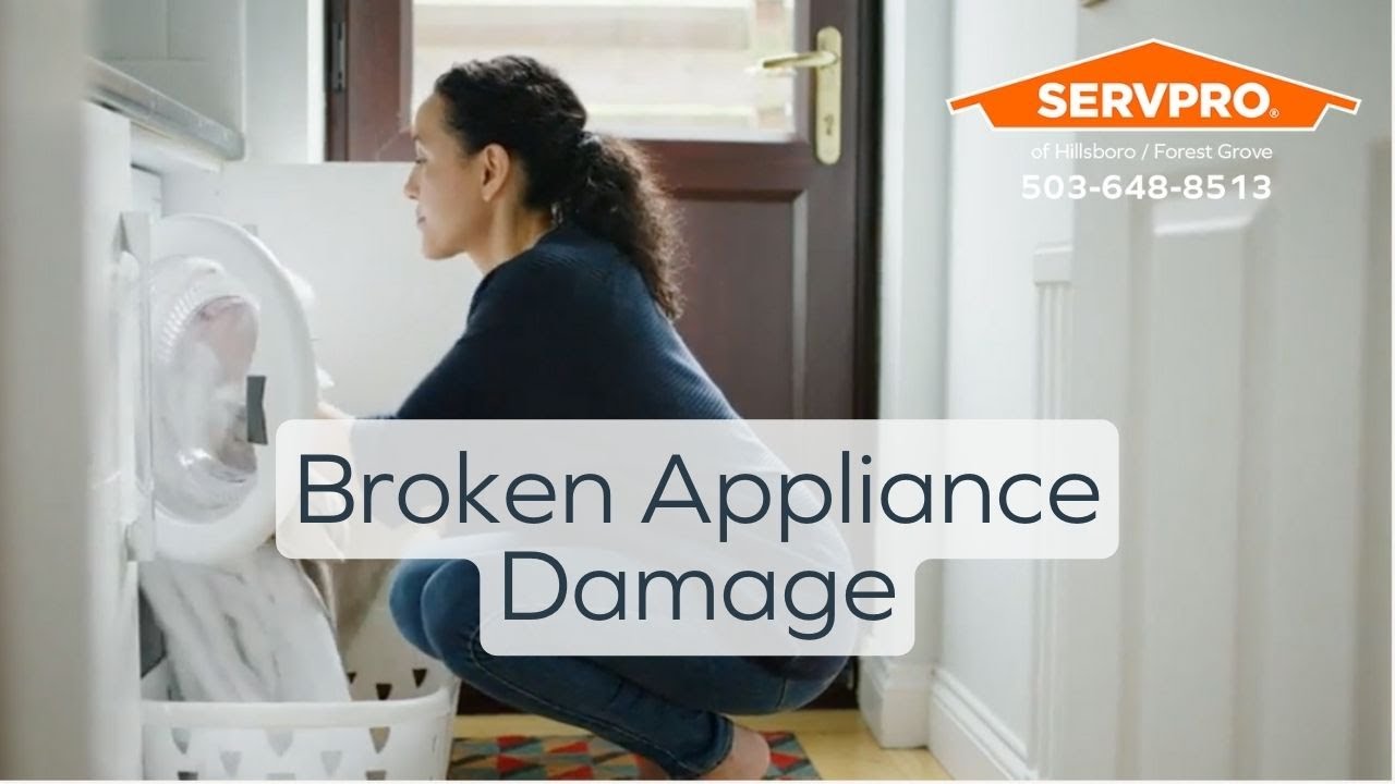 Hillsboro/Forest Grove Makes Water Damage a Memory, not a Scar YouTube