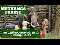 Keralas own Kumki elephant gets ready in Muthanga| ക്കുങ്കിയാനകൾ കഥ പറയും കാട്