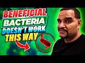 Beneficial bacteria myths busted common beginner mistake