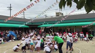 Bi đi lớp 柏原 保育園 3