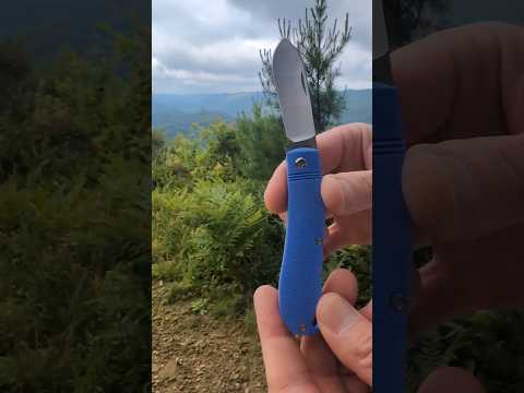 Pocket Knife in Nature
