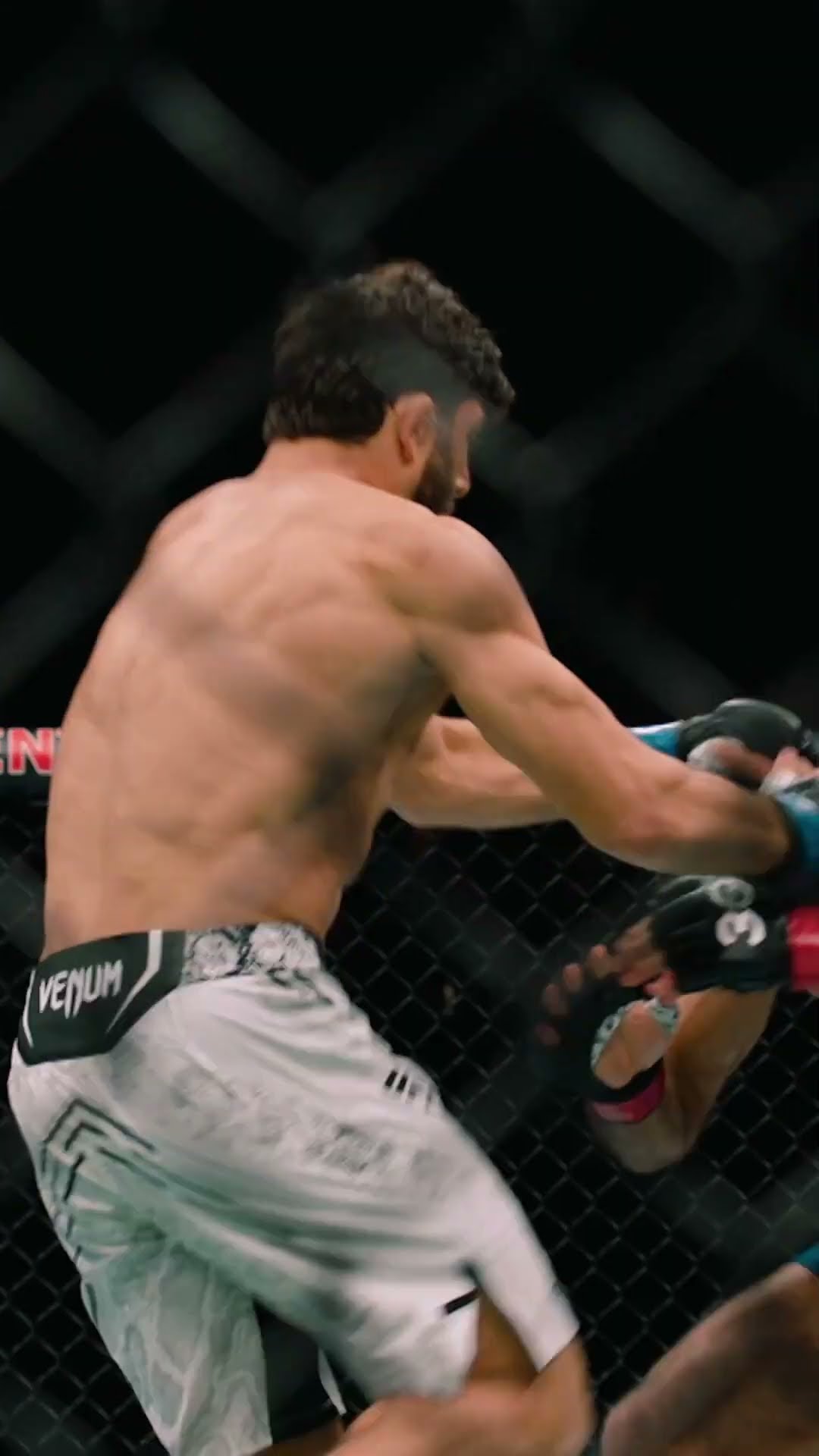 UFC 311 Countdown premieres SATURDAY ? #UFC311