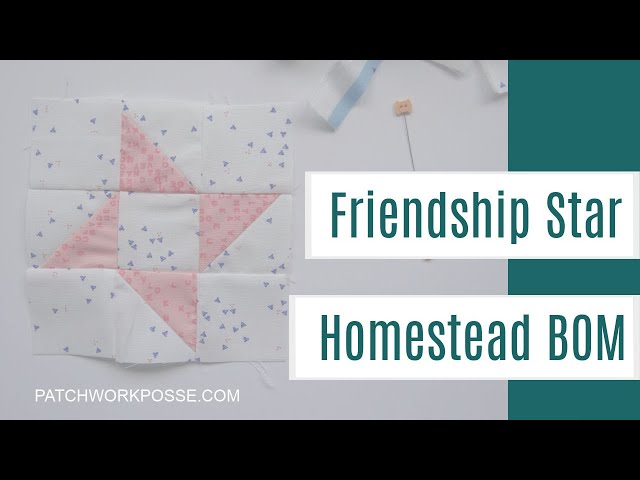 Homestead bom - Friendship Star Quilt Block 