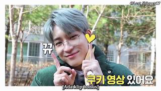 [INDO SUB] IF SEVENTEEN 2020 EP. 4