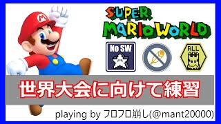 【世界大会頑張るぞ！】マリオワールドRTA #202 toss upトーナメントに向けて練習する放送