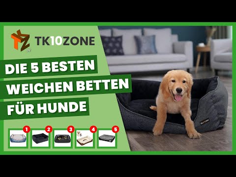 Video: 24 stilvolle Hundebetten