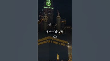تلاوه هادئه القارئ عبدالرحمن مسعد