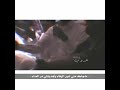 شلون شلون دنيتنا أعز الناس فارقنا اجمل صوت شلون شلون دنيتنا أعز الناس فارقنا اجمل صوت