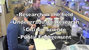 SLOAN2014 - microBEnet