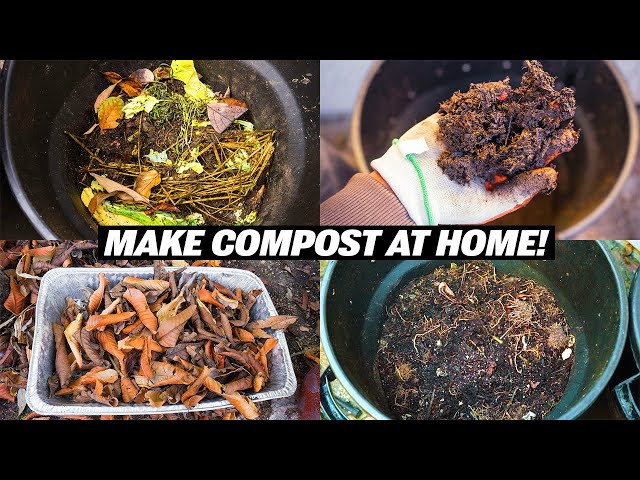 Composting 101: What, Why & How to Compost at Home ~ Homestead and Chill
