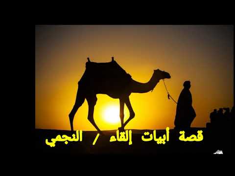 قصة أبيات من كتاب وفيات الأعيان وأنباء أبناء الزمان