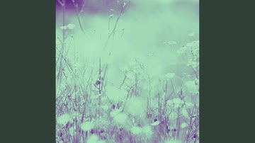 Scintillating Moods for Fresh Vibes