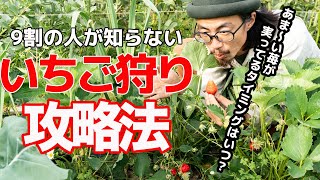 果物狩りの動画