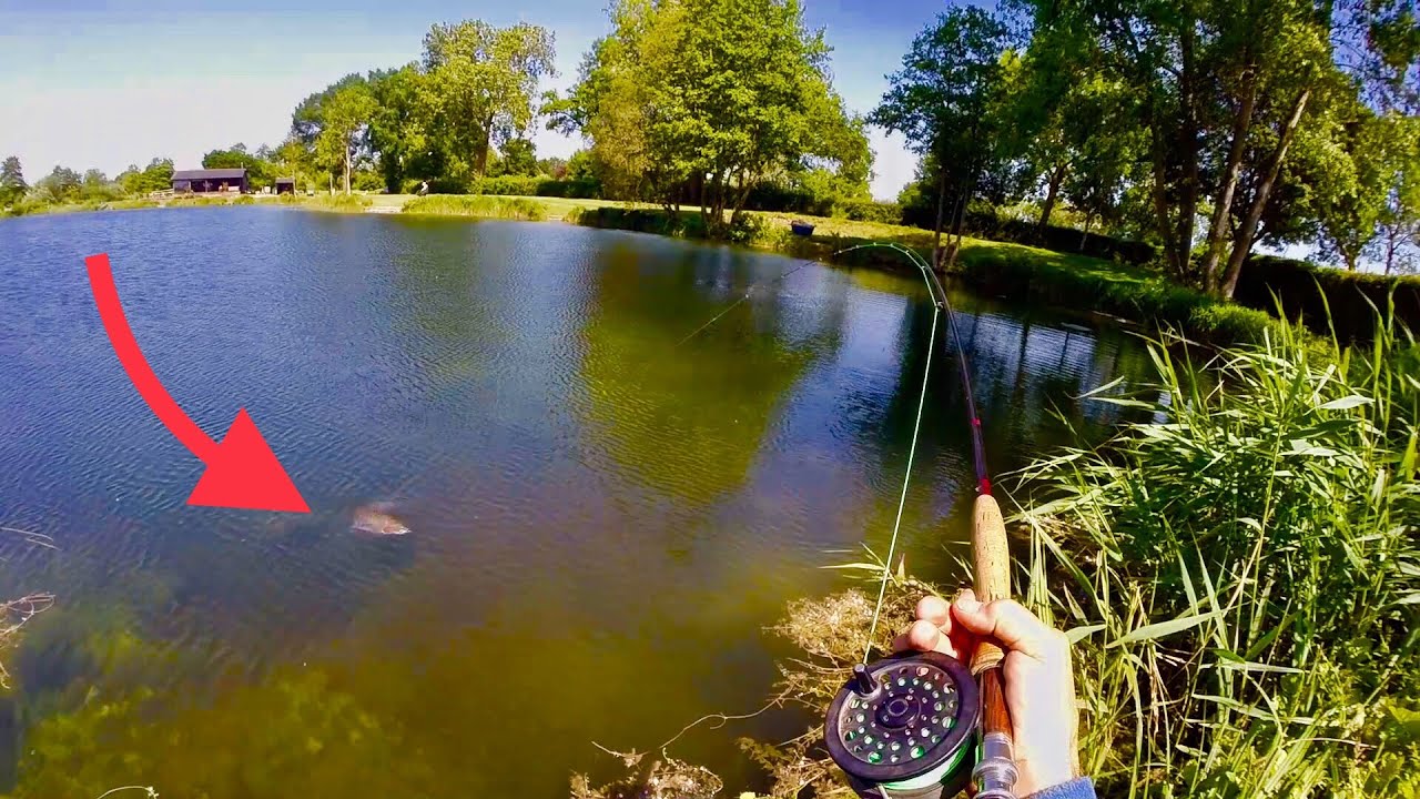 Catching Fish in Ultra Clear Water YouTube