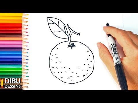 Vidéo: Comment Dessiner Une Mandarine