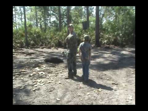Bow Hunting Wild Boar - Best Bowhunting Hog Hunt in Florida