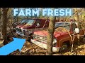 We Bought Some Abandoned Old Trucks out of the Woods and Crushed 65+ Cars in ONE Day!