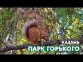 Парк Горького 6 сентября 2020 | Куда пойти с детьми в Казани