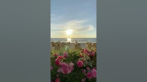 الذين يذكرون الله قياما وقعودا وعلى جنوبهم ويتفكرون ۞ سورة آل عمران ۞ سعود الشريم