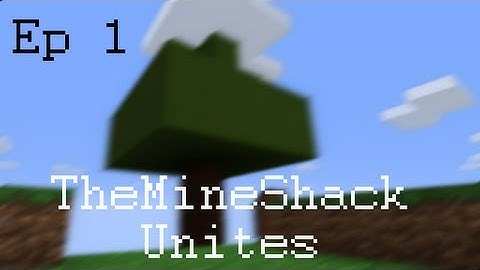 Minecraft: TheMineShack Server: Ep 1 Starting our house