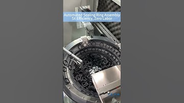 Automated Sealing Ring Assembly: 5X Efficiency, Zero Labor #automatedsolutions #automatedequipment