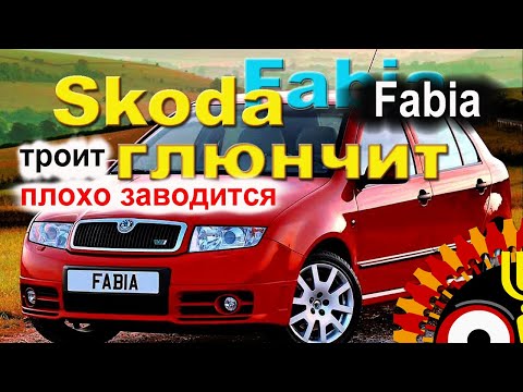 Шкода фабия глючит Троит Порой плохо заводится  Где собака порыта?