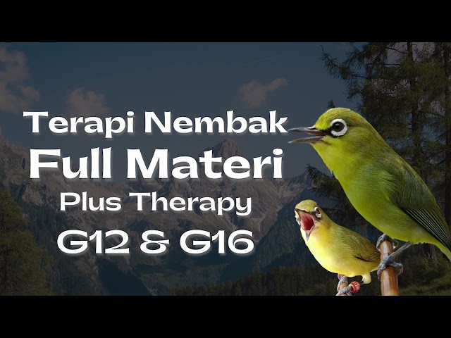 Terapi Pleci Nembak Full Materi Plus Therapy class=