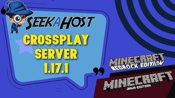 How to Install Geyser and Floodgate for a Cross platform Server 1.17.1