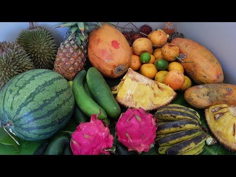 Some Of The Tastiest Fruits In The World - Bali!