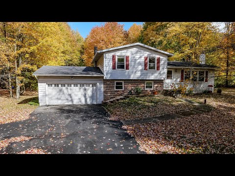 12464 Alpha Rd, Hiram, OH home video tour