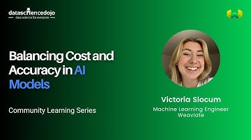 Balancing Cost and Accuracy in AI Models