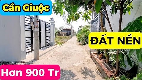 Đất Nền Gần 100M2 Tại Mỹ Lộc, Cần Giuộc – Kế QL50, Gần Bình Chánh, Quận 8, Sổ Riêng Chỉ Hơn 900Tr