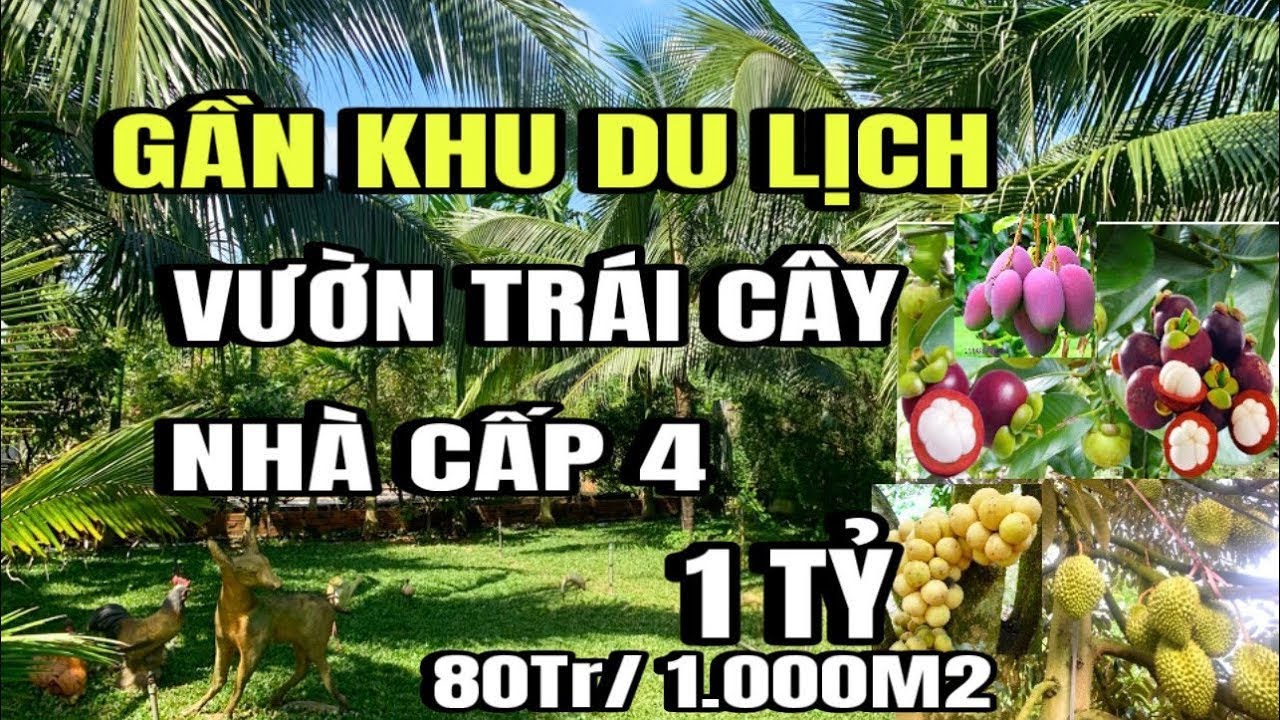 nhà vườn trái cây, cho thu nhập mạnh, gần khu du lịch núi chứa chan, huyện xuân lộc cũ, Đồng Nai 