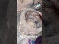 mitti ka Hara ✨✨ #trending_shorts_on_youtube #naturelove #mitti #clayart