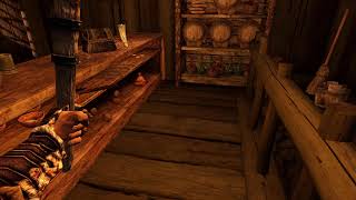 Skyrim AE Mod Testing