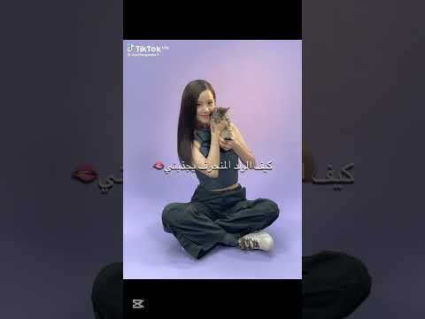 طقطقة على عالم الفيك Part1 طقطقه عالم الفيك