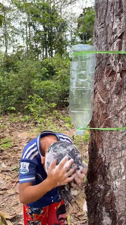 Wow! SMART idea and USEFUL with saving water #bushcraft #camping #outdoors