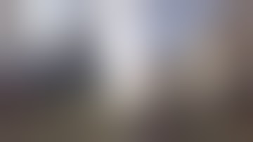 When Dot Fail Raid |Rusty Moose| US|