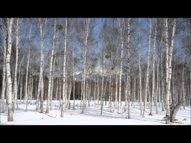 トロイカロシア民謡