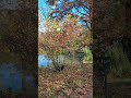 Осень в парке. Бад-Хомбург.