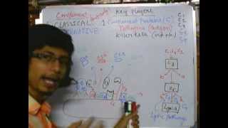 complement system part 3 (Classical pathway)