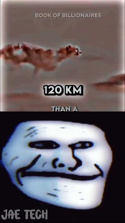 sigma dog vs tiger vs man speed challenge #respect #sigma #vs #shorts #sigmarule #surajactor #asmr