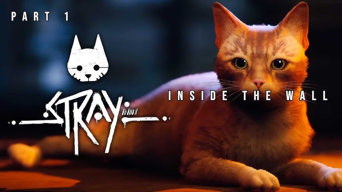 Stray, the cyberpunk cat adventure, has a lovable, believable cat hero -  Polygon